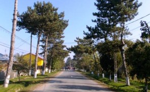 Comuna Vitanesti – receptie drum 4